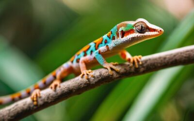 Jaka jest cena gekona – jaszczurki popularnej wśród miłośników gadów?