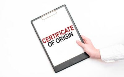 Certyfikat kompetencji zawodowych co to oznacza w praktyce?