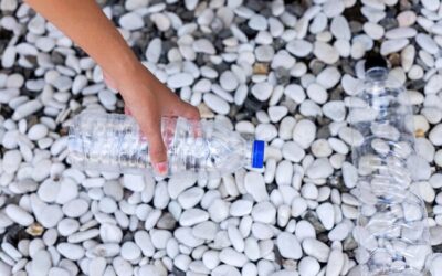 LDPE gdzie wyrzucać i dlaczego to takie ważne?