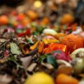 Na czym polega recykling organiczny i jakie korzyści przynosi środowisku?
